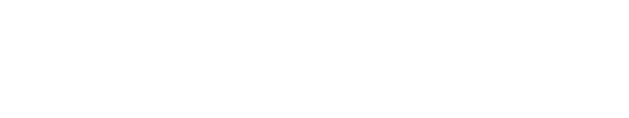 webvisum layer Logo